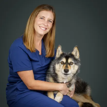 Dr. Kellie Stein, veterinarian at Island City Animal Hospital 